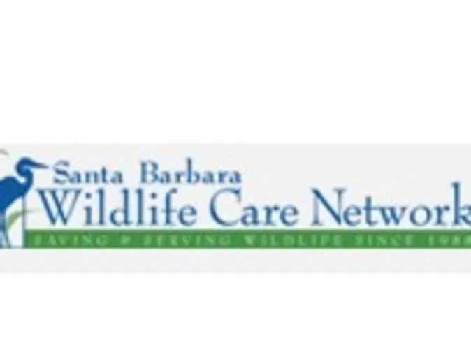 Santa Barbara Wildlife Care Network Logo Santa Barbara Wildlife Care Network Logo