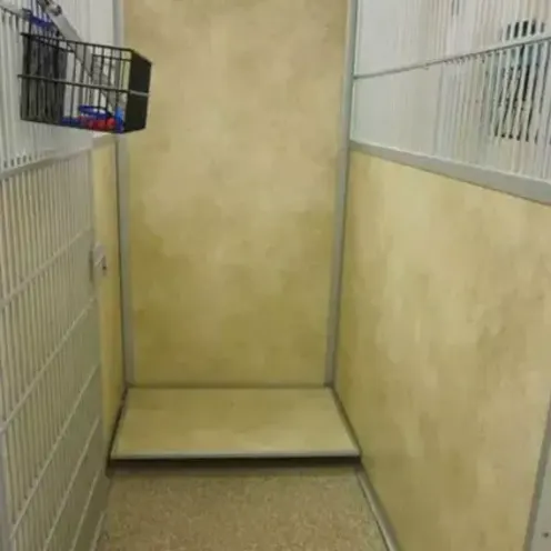 Kennel Kennel