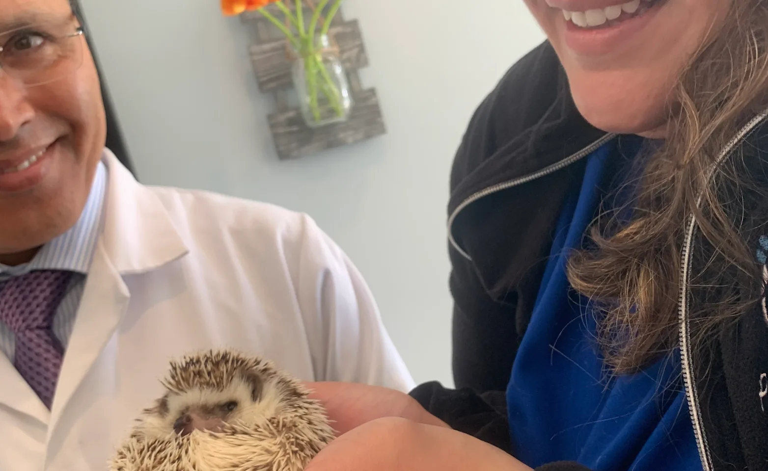 lady-holding-a-small-animal lady-holding-a-small-animal