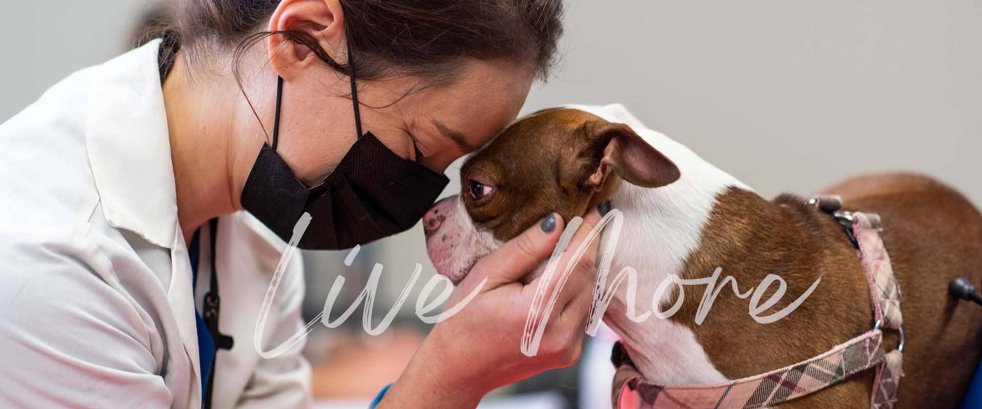 A doctor putting her forehead to a dog's forehead