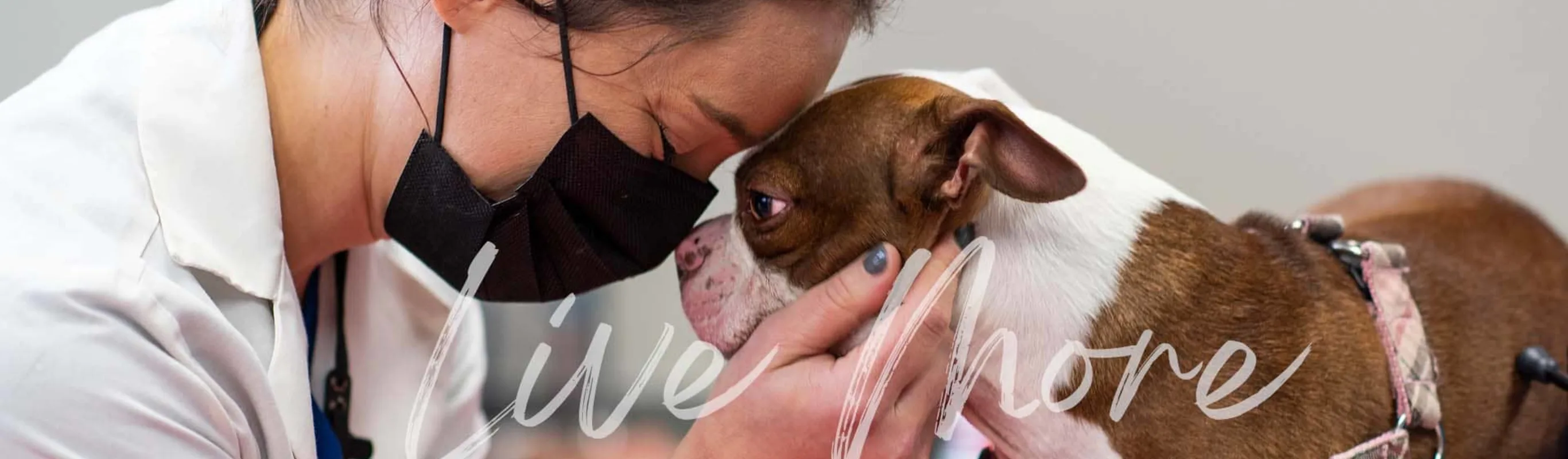 A doctor putting her forehead to a dog's forehead A doctor putting her forehead to a dog's forehead