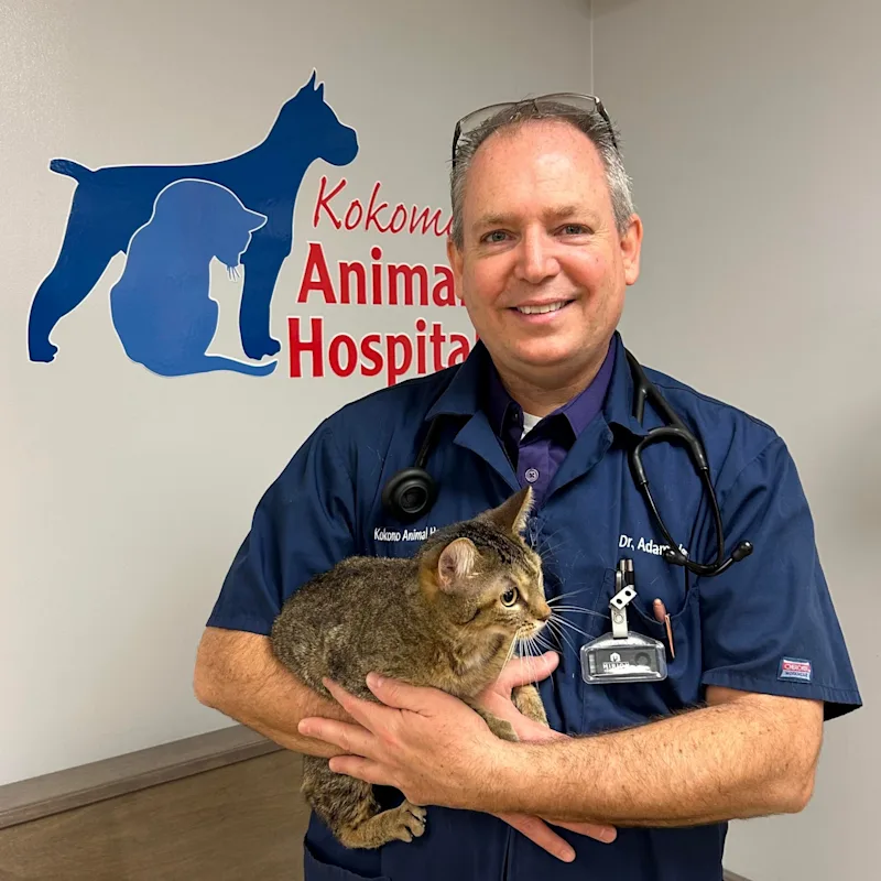 Dr. Adam Vernengo Dr. Adam Vernengo