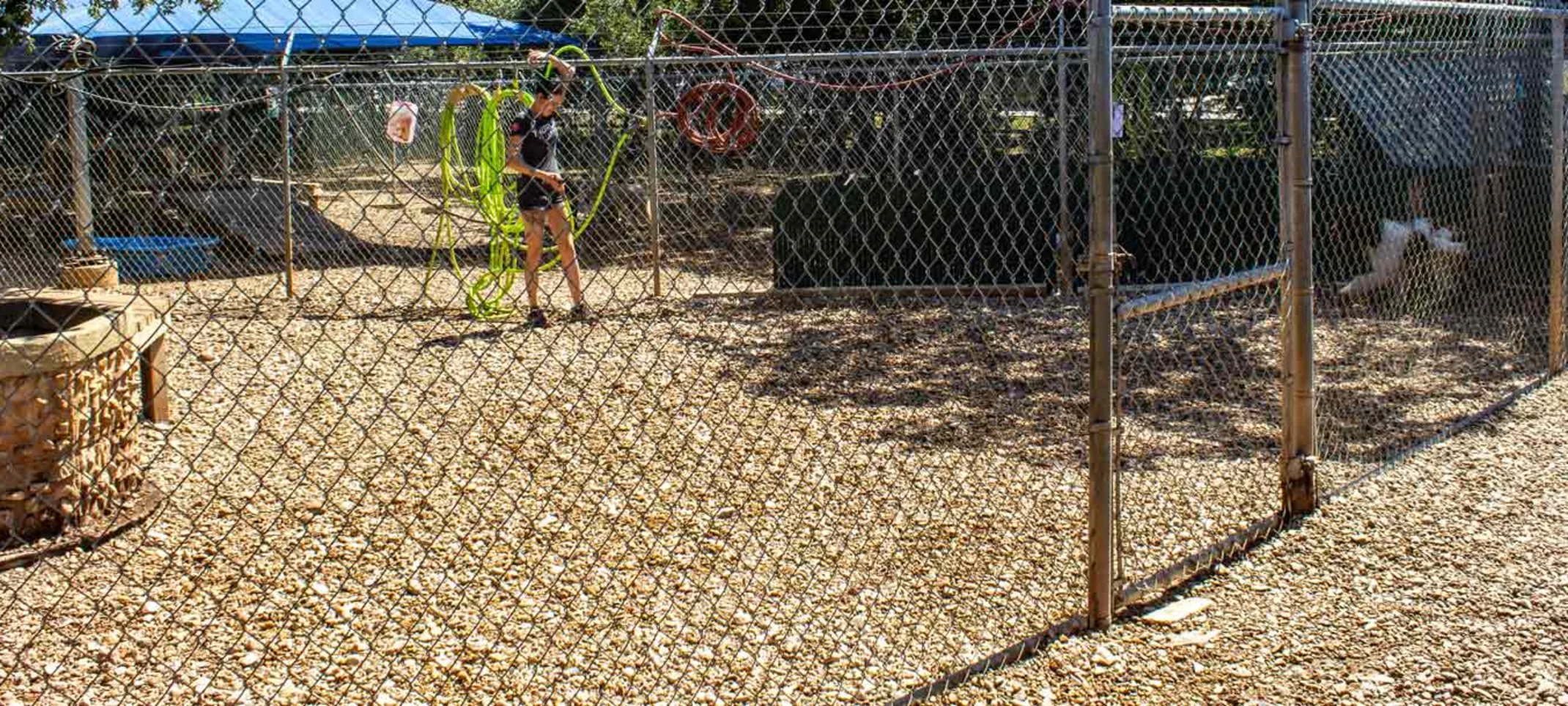 Taurus Academy Yard Taurus Academy Yard
