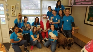 Group Staff image with animals at St. George Hunt Memorial Veterinary Hospital