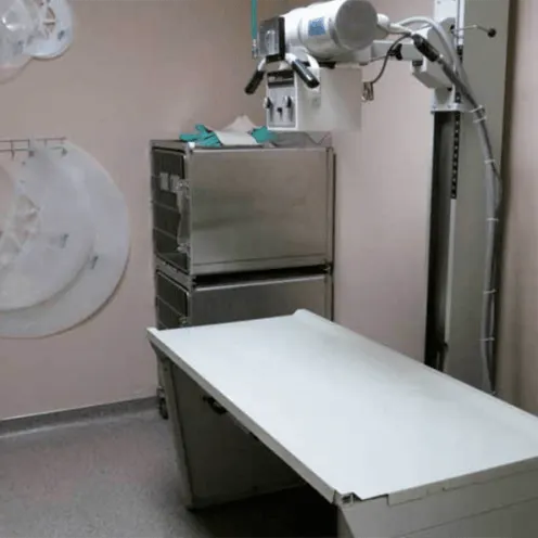 Imaging machine and table at Palm Glen Animal Hospital Imaging machine and table at Palm Glen Animal Hospital