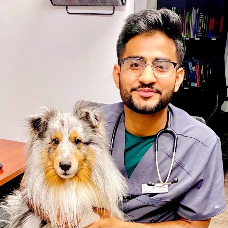 Dr. Haifz Ammar Dr. Haifz Ammar