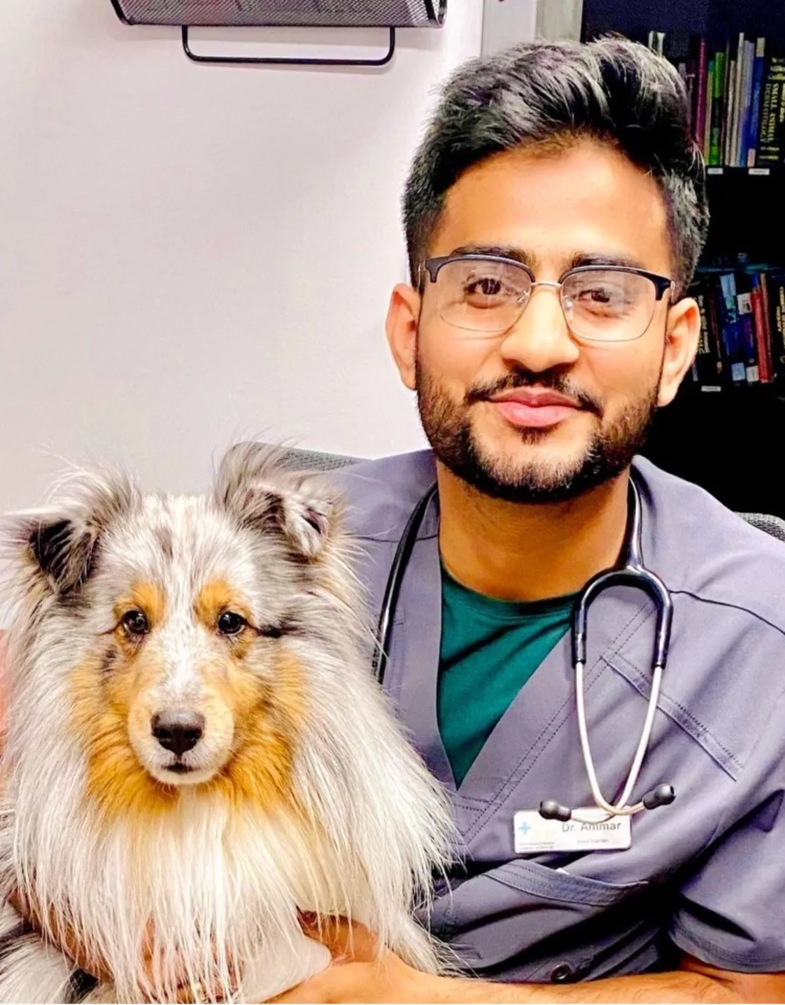 Dr. Haifz Ammar Dr. Haifz Ammar