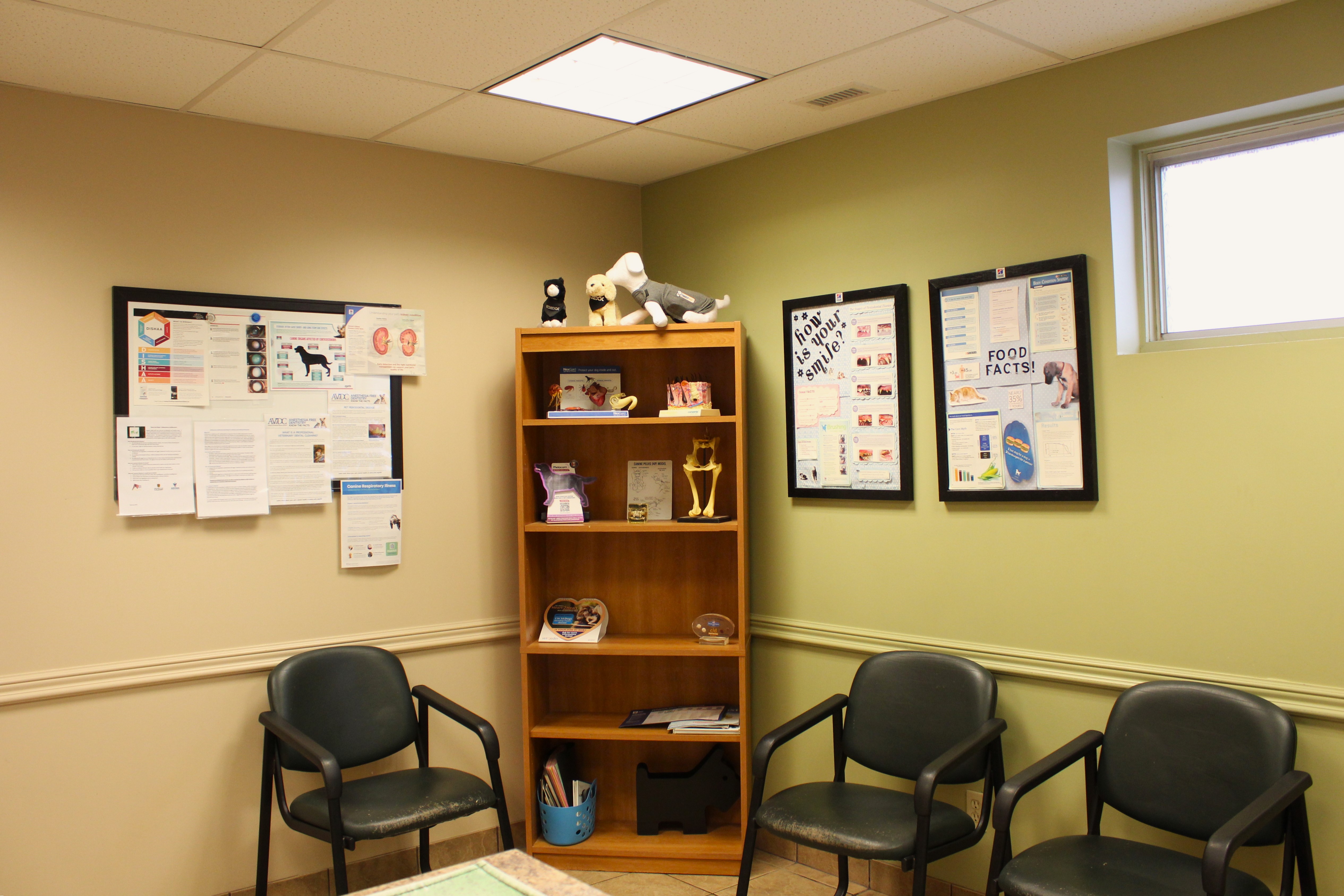 The Client and patient room for Hermitage Veterinary Hospital. 