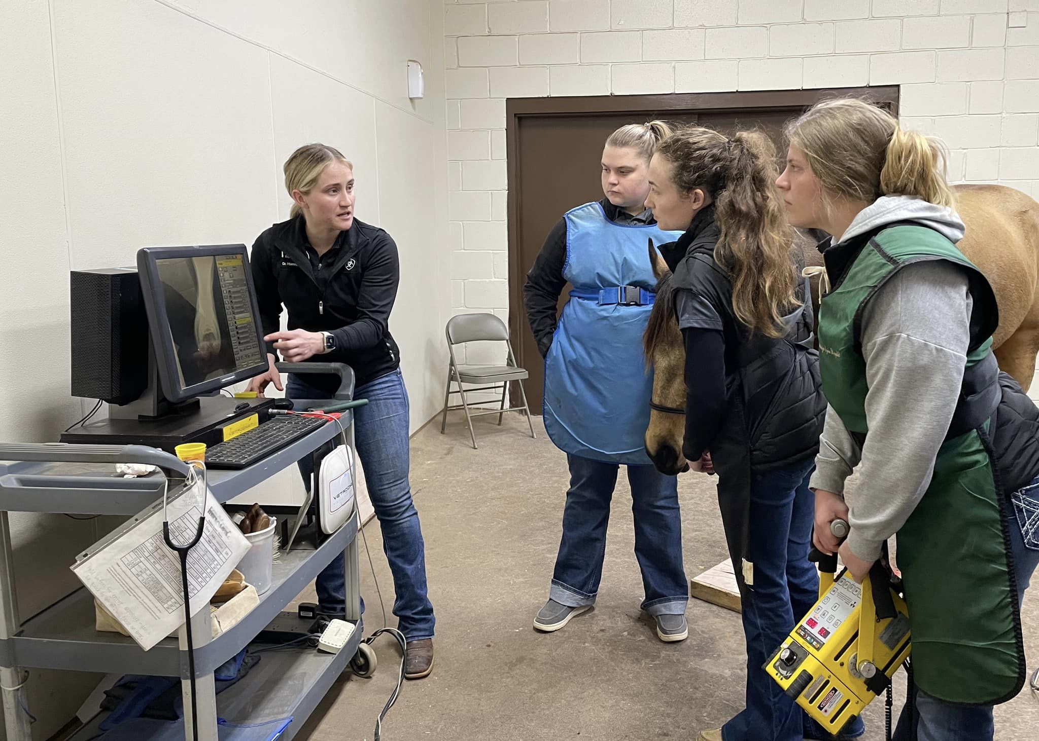 Oakridge Equine Hospital - Students Learning with Veterinarian