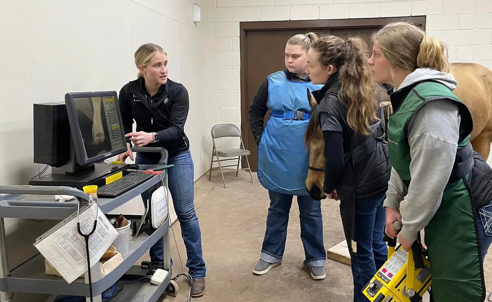 Oakridge Equine Hospital - Students Learning with Veterinarian Oakridge Equine Hospital - Students Learning with Veterinarian
