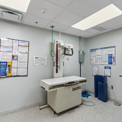 X-ray Area X-ray Area