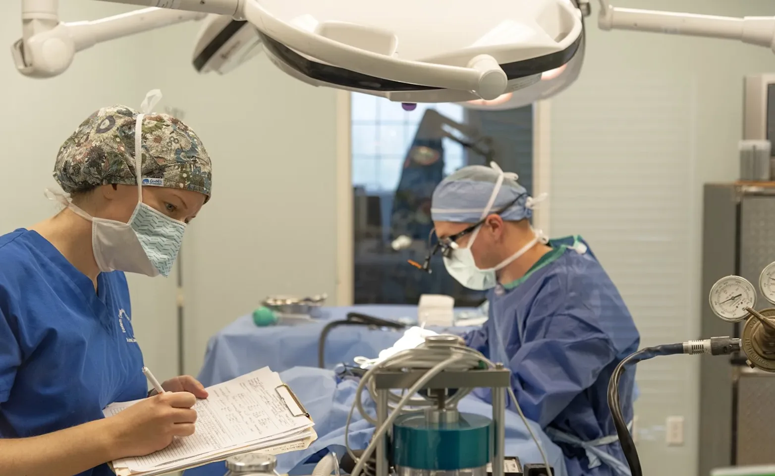 Vets with lab equipment Vets with lab equipment