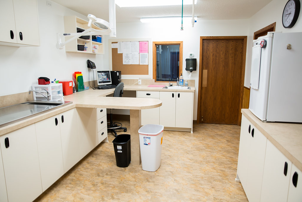 Picture of the back treatment room