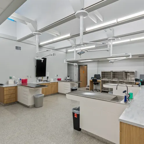 Treatment Area Treatment Area