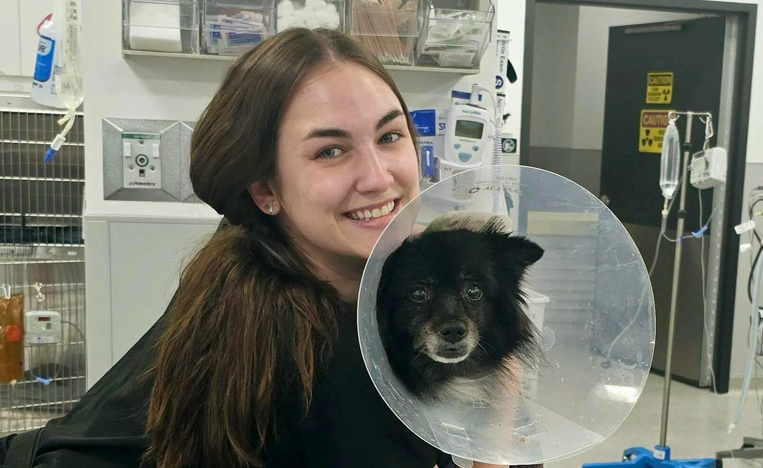 Staff hugging a a black dog. Staff hugging a a black dog.