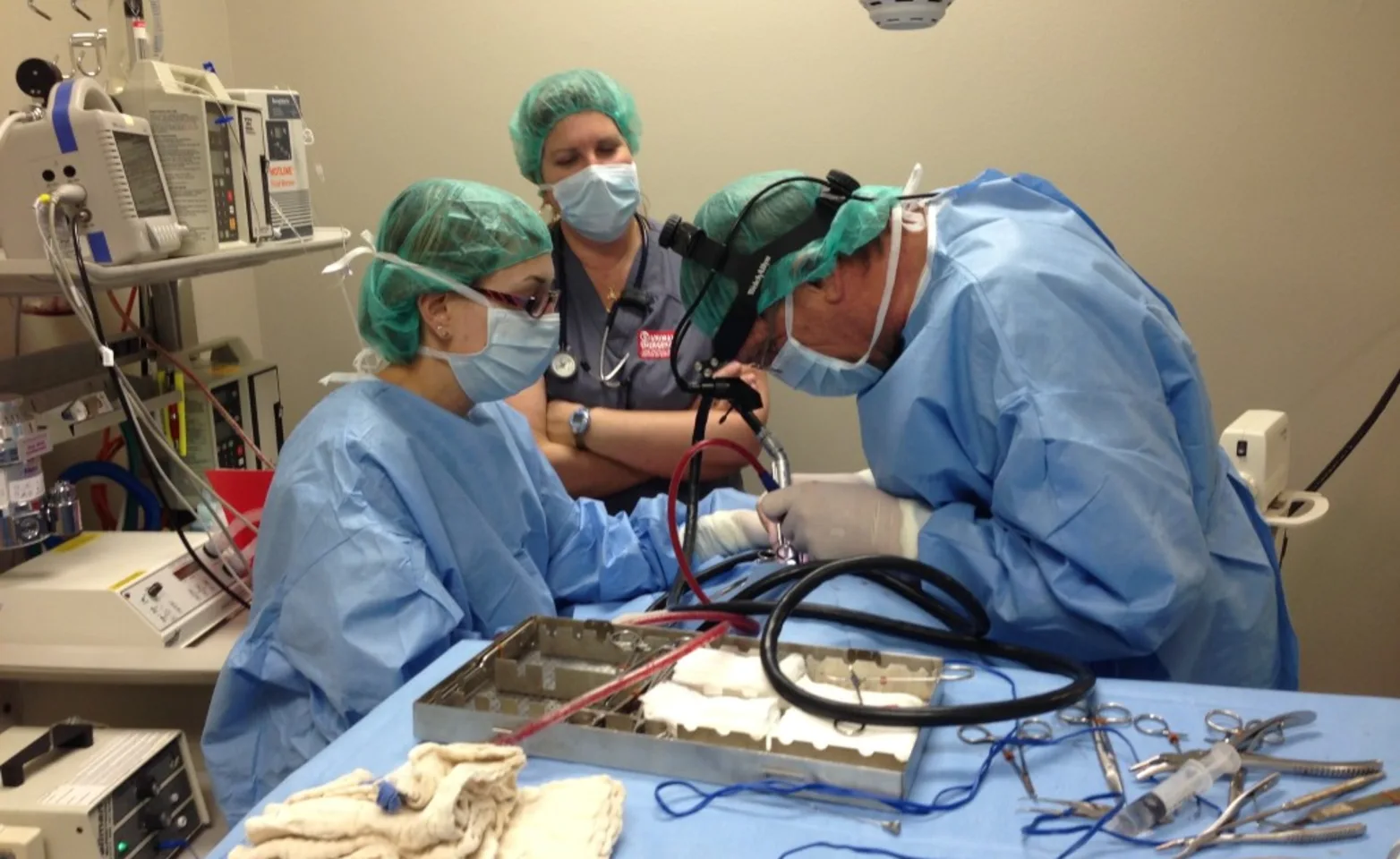 a team performing soft tissue surgery at the Animal Specialty & Emergency Center of Brevard