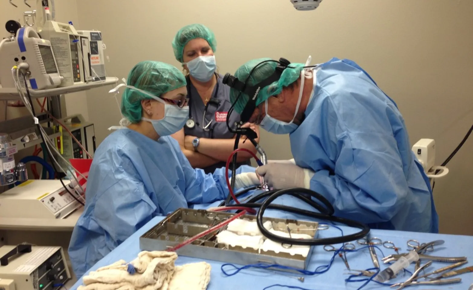 a team performing soft tissue surgery at the Animal Specialty & Emergency Center of Brevard a team performing soft tissue surgery at the Animal Specialty & Emergency Center of Brevard