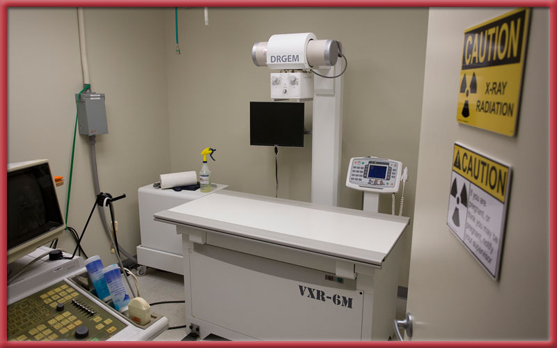 Stoney Brook Veterinary Hospital exam room