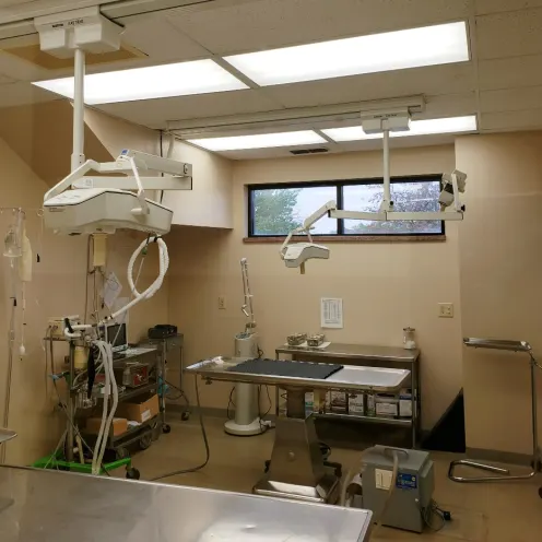 Surgery room at Kettering Animal Hospital