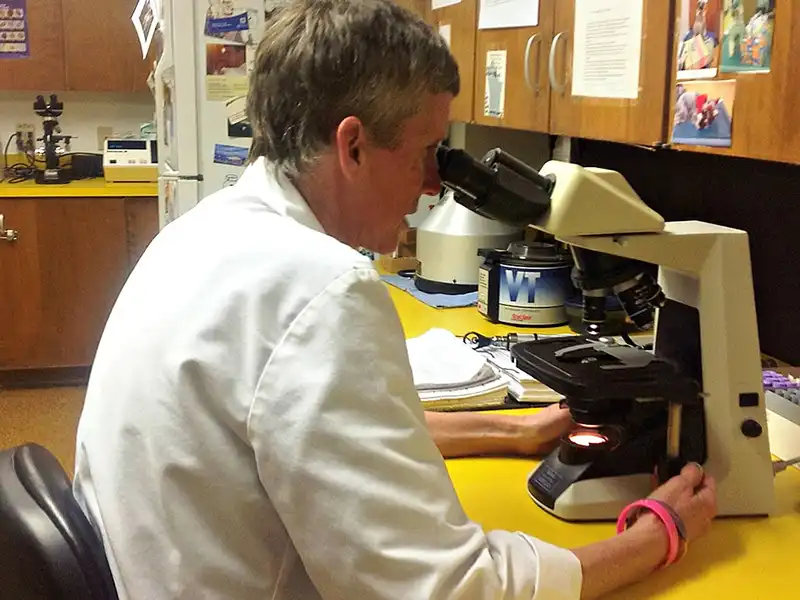 Vet looking through a microscope