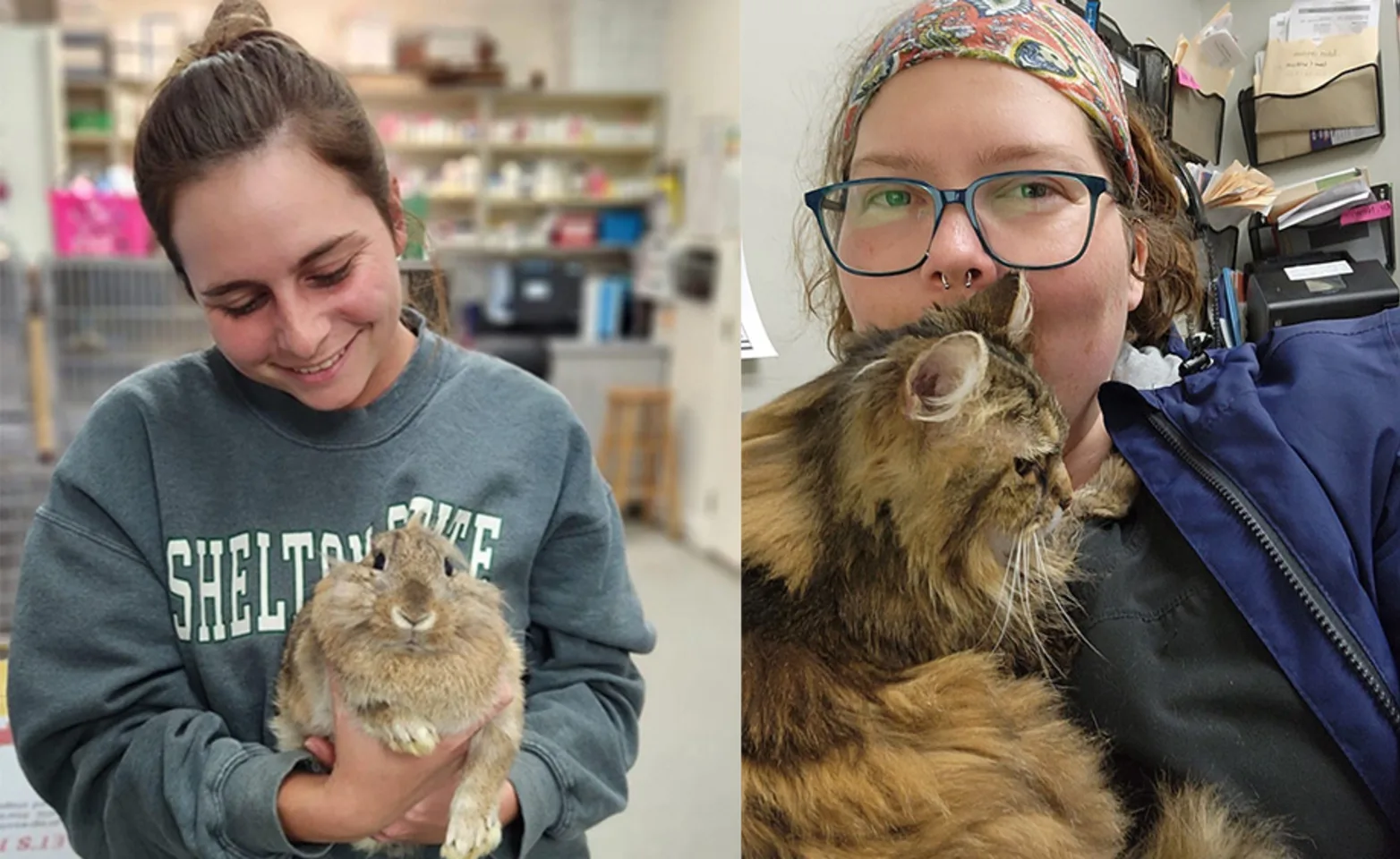 Two photos together, One staff member holding a cat and another staff member holding a rabbit