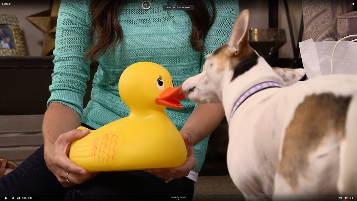 Endoscopy for Foreign Body Retrieval