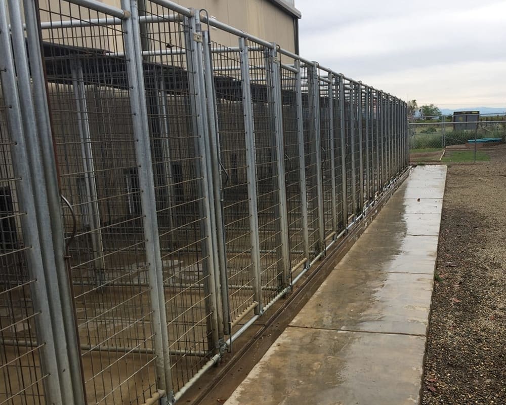 Exterior kennels of University of Pet Resort