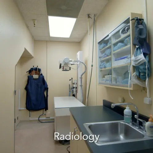 Mt. Diablo Veterinary Medical Center Radiology area