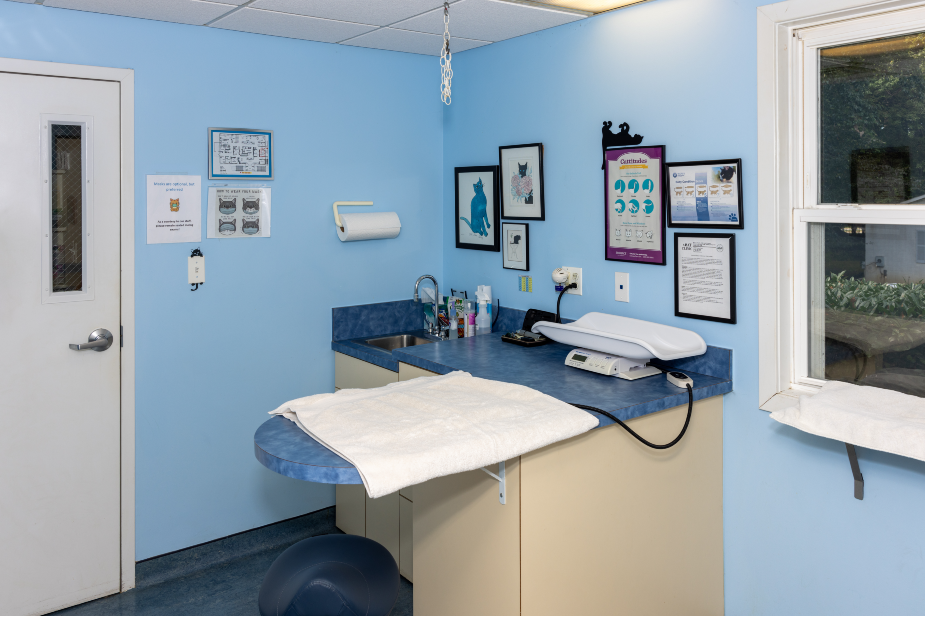 Exam room, Blue