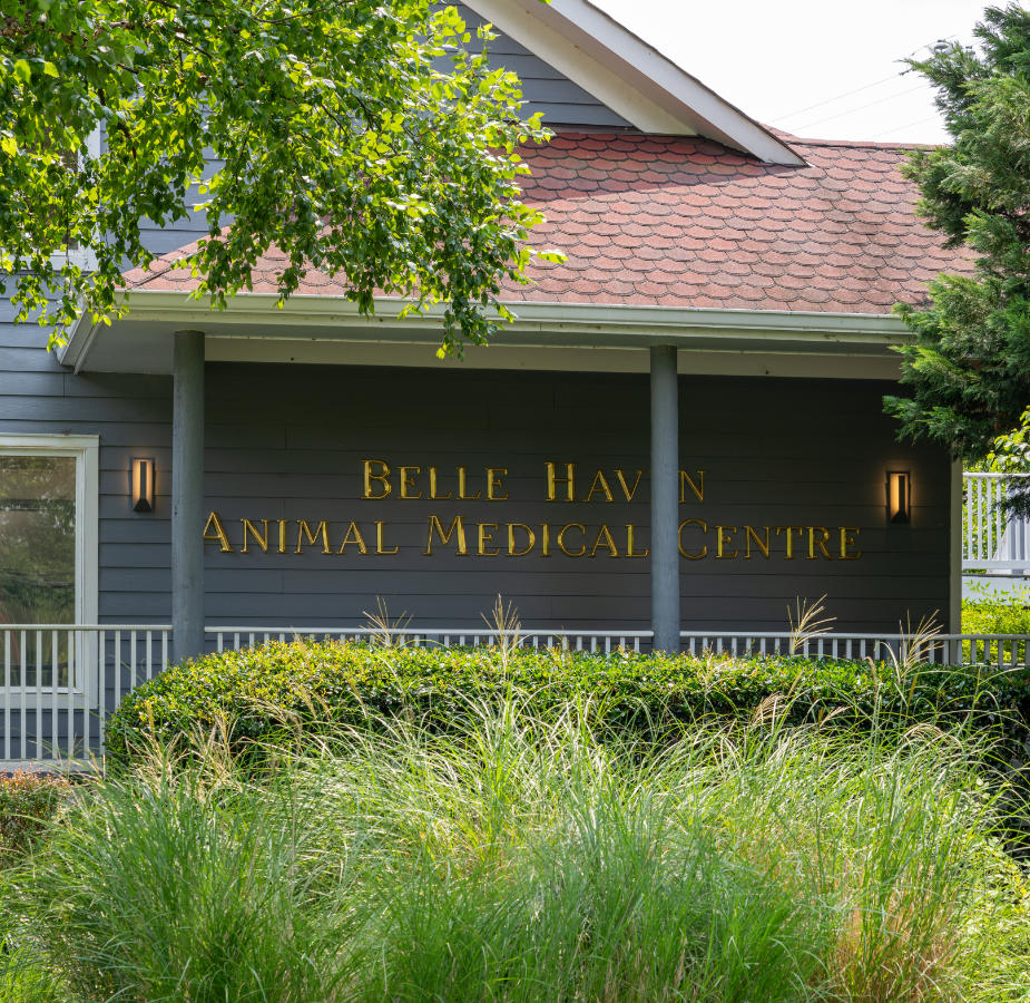 Belle Haven Animal Medical Centre sign closeup