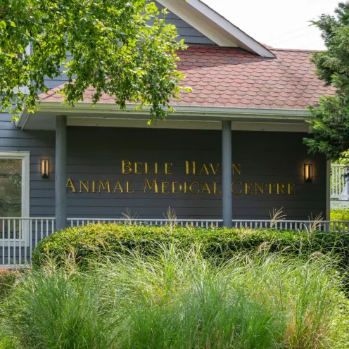 Belle Haven Animal Medical Centre sign closeup