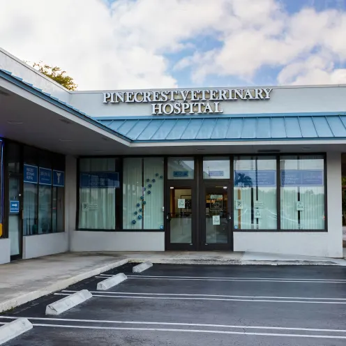 PInecrest Veterinary Hospital Front Door