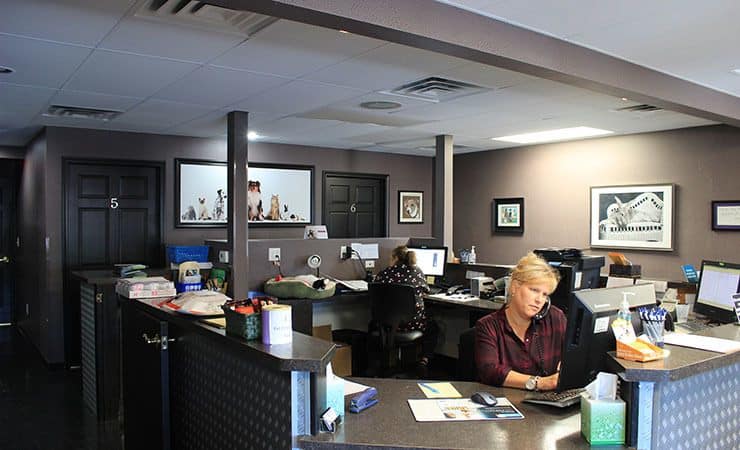 All Creatures (NY) Reception