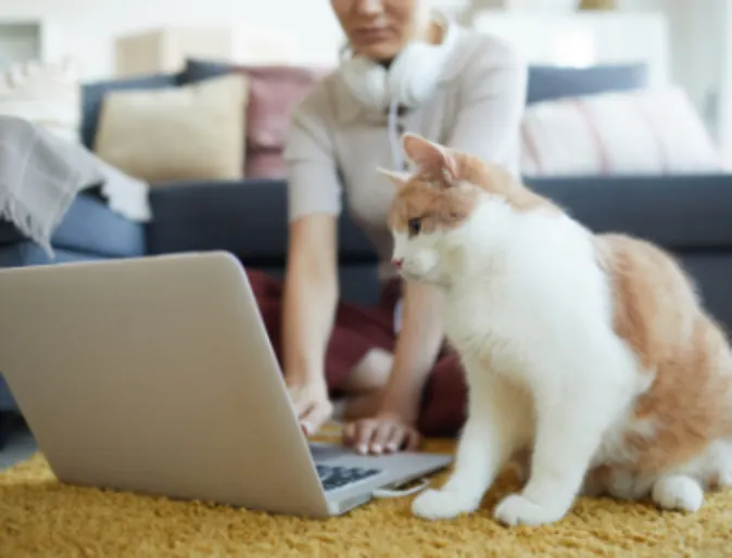 Woman on Laptop Next to Cat