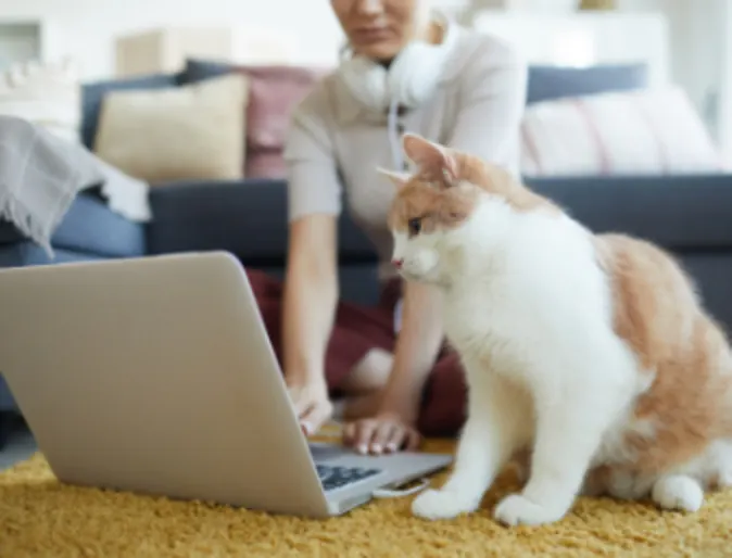 Woman on Laptop Next to Cat Woman on Laptop Next to Cat