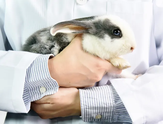 Man holding rabbit