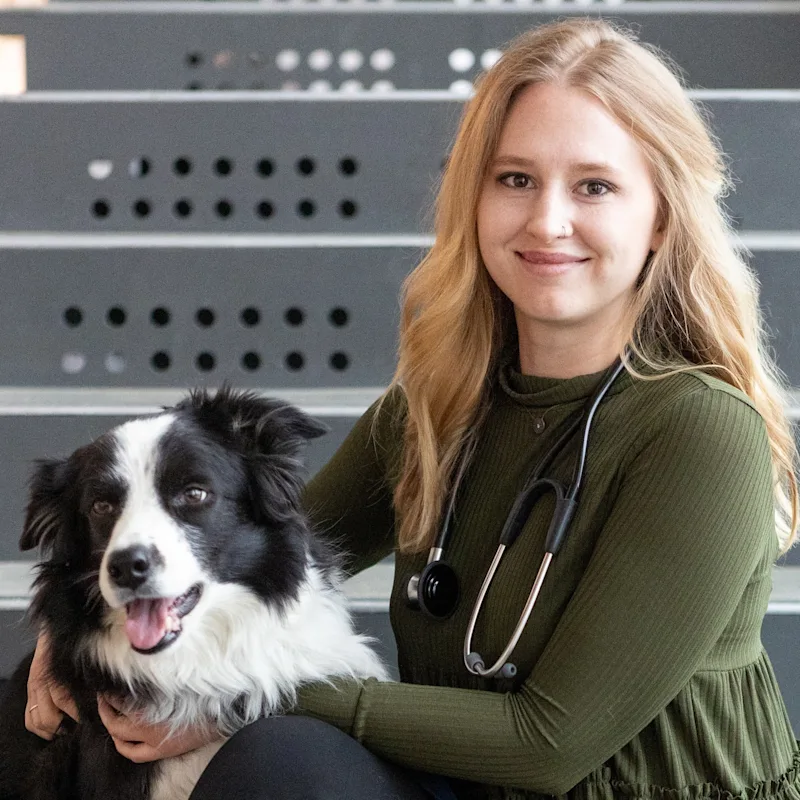 Dr. M. Svoboda Dr. M. Svoboda