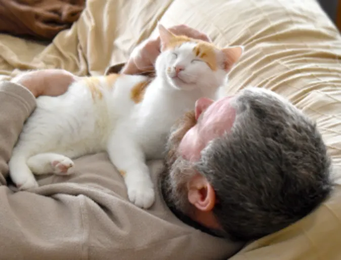 Elderly cuddling with a cat