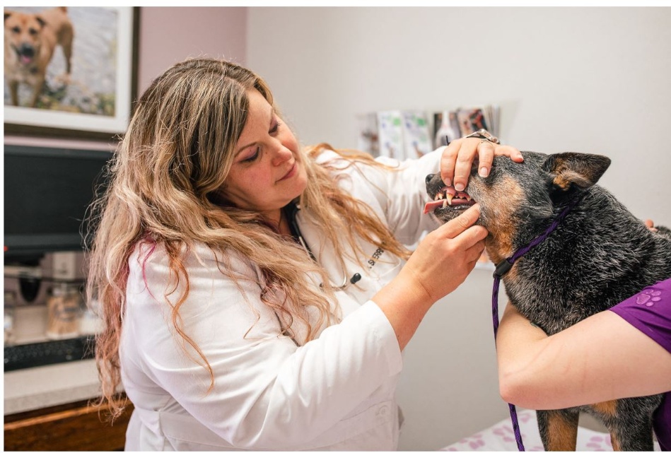 Thorough examinations at every visit.