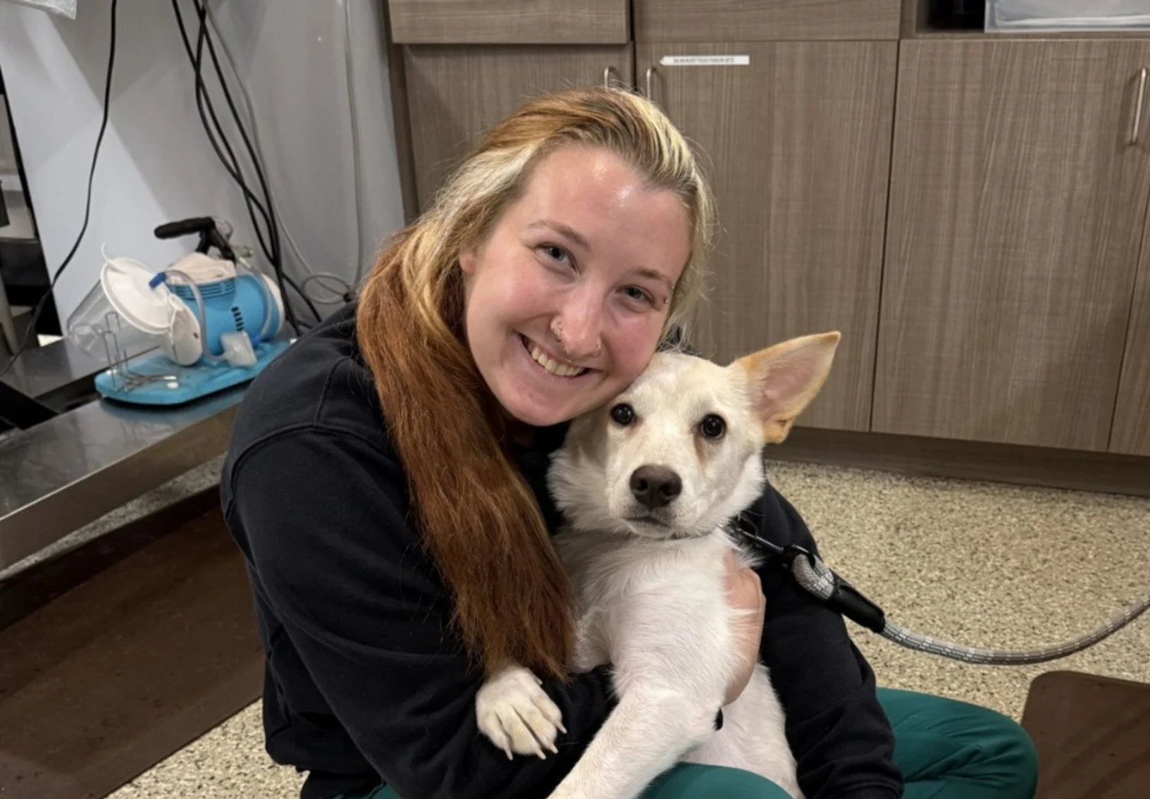 Staff holding a black and white puppy. Staff holding a black and white puppy.