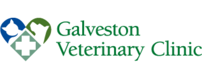 Galveston Veterinary Clinic Logo Galveston Veterinary Clinic Logo