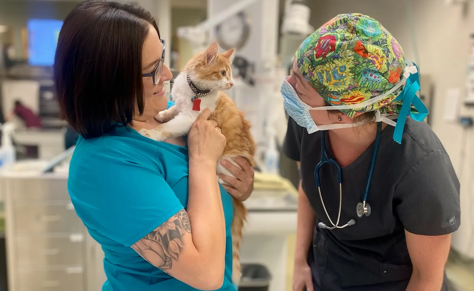 two staff members holding a cat two staff members holding a cat