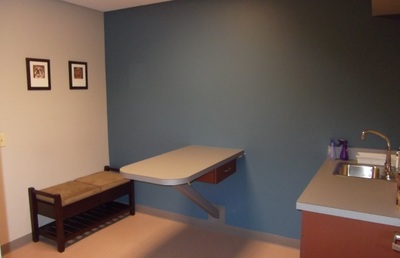 King of Prussia Veterinary Hospital Exam Room