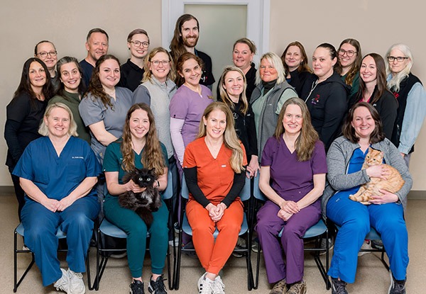 Portsmouth Veterinary Clinic Team