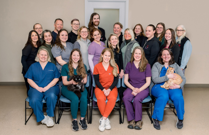 Portsmouth Veterinary Clinic Team