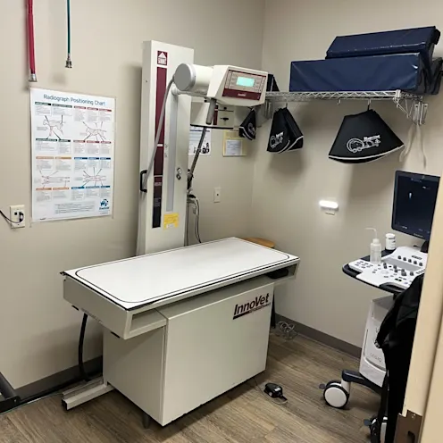 Radiology and ultrasound room Radiology and ultrasound room