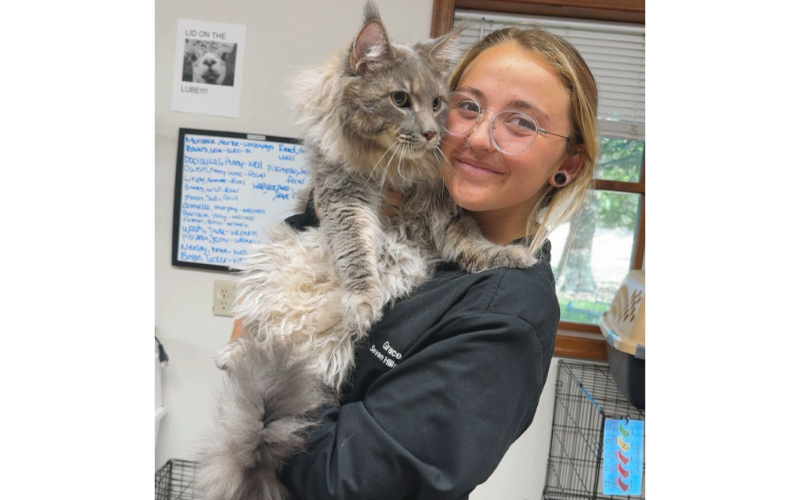 Staff Member Holding Fuzzy Gray Cat