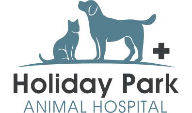 Holiday Park Animal Hospital - Header