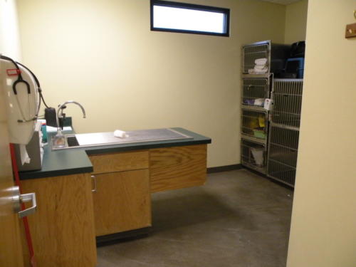 Kennels at Southside Animal Hospital