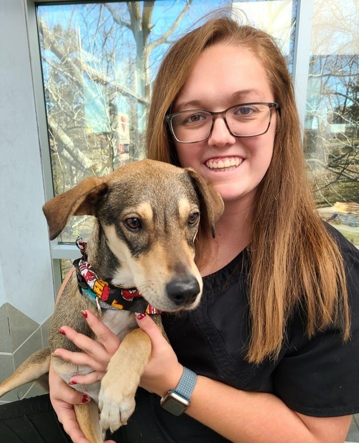 Bradford Park Veterinary Hospital 0308 - Paige Taylor